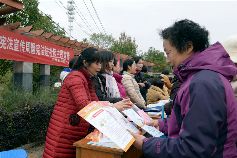 平东社区开展宪法宣传活动.jpg